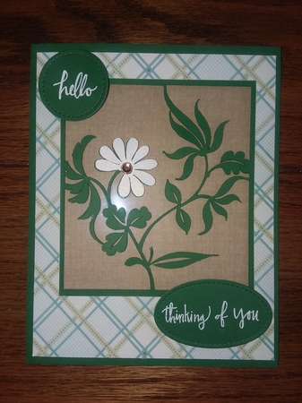 Framed Flower 1 by Jean Rowley