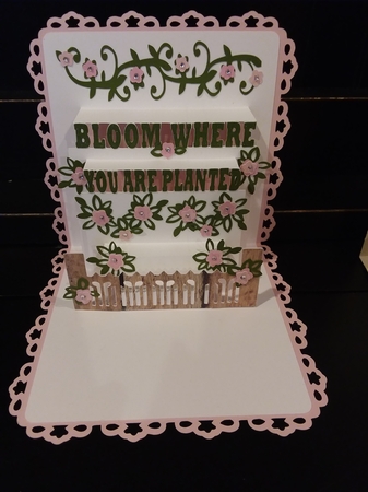 All Occasion Pop Up Card Collection by Jean Rowley