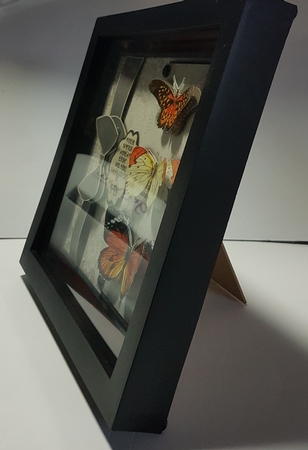 Black Trio of Butterflies by Jeanette Jackson