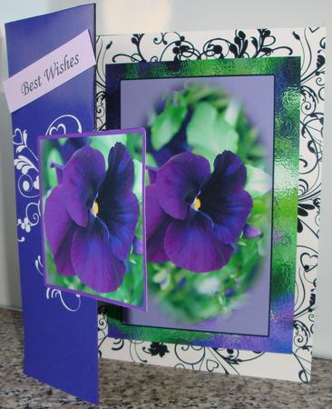 Foldback Pansy Card by Jeanette Jackson