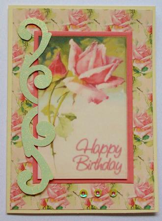 Pink Rose Backing by Jennie Furness