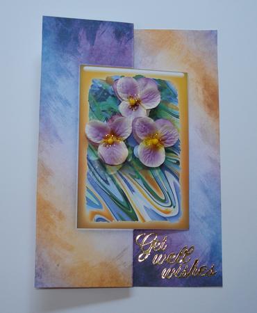 Photo Floral 1.1, Pansies by Jennie Furness