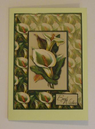 Calla Lilies Card Front by Jennie Furness