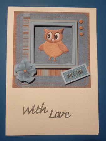 Teal Felt Owl Framed Card by Jennie Ingersent