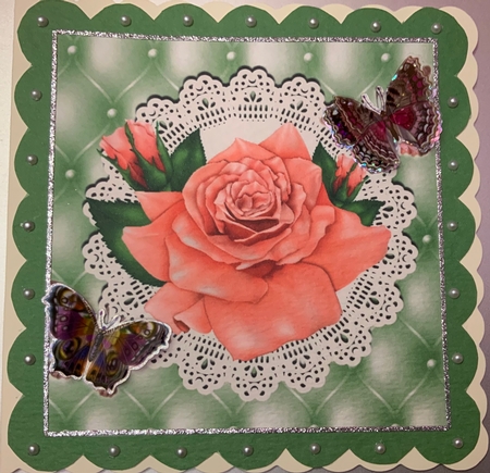 Pretty peach rose and butterflies on lace in ornate frame 8x8 by Jennie Settle