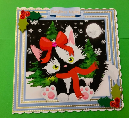Kitty Cats Christmas Scarf  by Jennie Settle