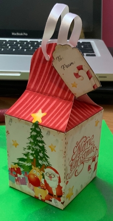2019 Christmas Gift Box 9 by Jennie Settle