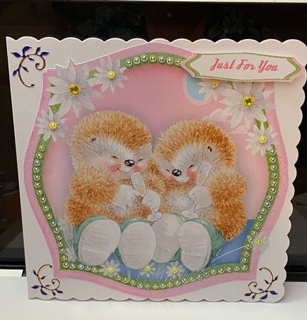 Hedgehogs Celebrations by Jennie Settle