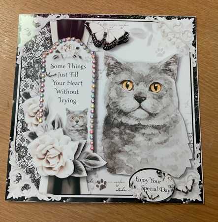 Crazy Cat Lady Bumper Kit by Jennie Settle