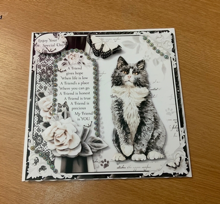 Crazy Cat Lady Bumper Kit by Jennie Settle