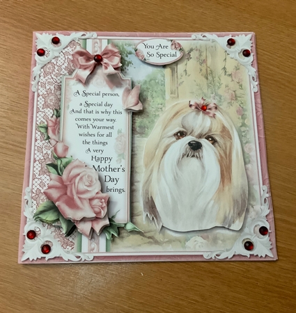 The Cute Dogs Bumper Kit by Jennie Settle