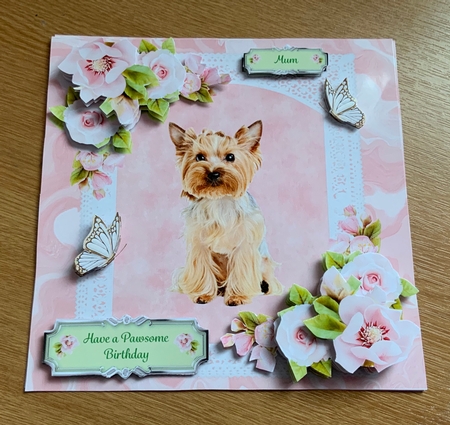 Have a Pawsome Birthday 4 by Jennie Settle