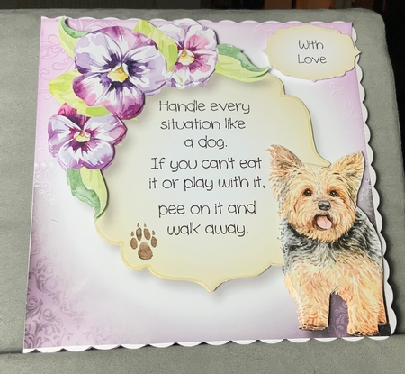 Handle Every Situation Like A Dog - Yorkshire Terrier by Jennie Settle