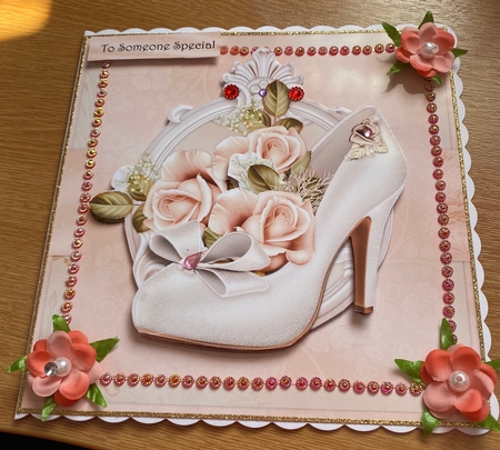 Special  Shoes  &  Roses  Mini Kit by Jennie Settle