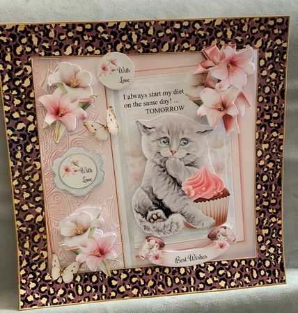 Animal Print Pattern Frames x 12 Kit by Jennie Settle