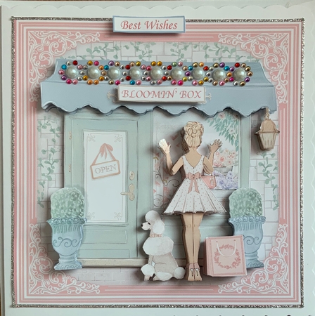 SHOPPING TRIP Mixed Occasions Decoupage & Inserts Bumper Kit by Jennie Settle