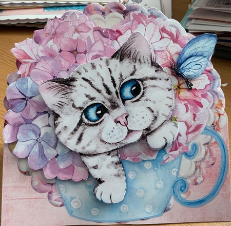 The Cats Whiskers 2 Danger in the Hydrangeas 6x6 Cards by Jennie Settle