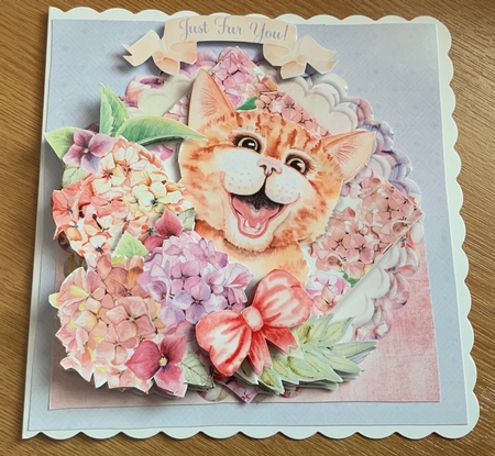 The Cats Whiskers 2 Danger in the Hydrangeas 6x6 Cards by Jennie Settle