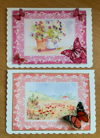 Poppy field and Pot of daisies 2 A5 card toppers by Jennie Settle