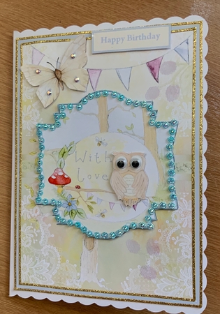 Owl and the butterflyA5 card by Jennie Settle
