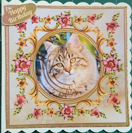 Gorgeous Kitty by Jennie Settle