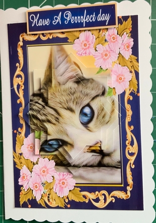 pusscat by Jennie Settle