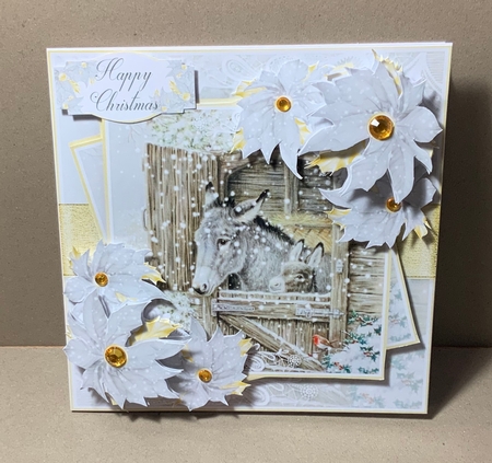 Winter Wonderland 20...21 Donkey by Jennie Settle