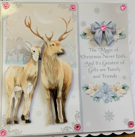 The Christmas Deer by Jennie Settle