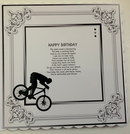 The Cyclist  by Jennie Settle