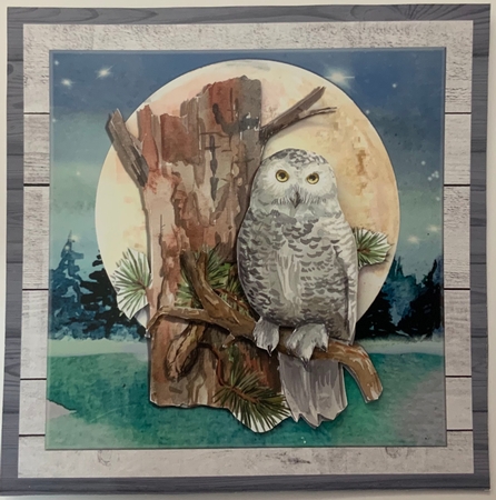 OWL MOON MINI KIT by Jennie Settle
