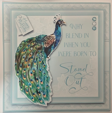 Peacock Birthday Mini Kit by Jennie Settle