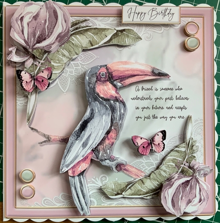 Tropical Birds FOUR  by Jennie Settle