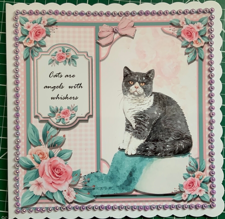 Cat Loving THREE by Jennie Settle