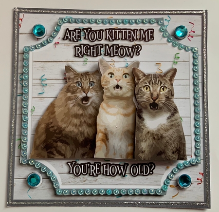 ARE YOU KITTEN ME? by Jennie Settle