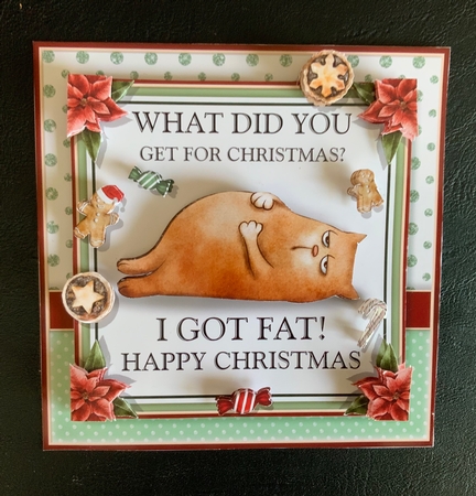 What Did You Get For Christmas by Jennie Settle
