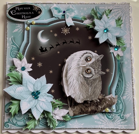 The Christmas Owl by Jennie Settle