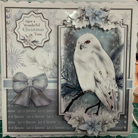 The Snowy Owl by Jennie Settle