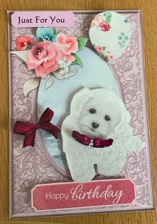 A5 Birthday Puppy Mini Kit by Jennie Settle