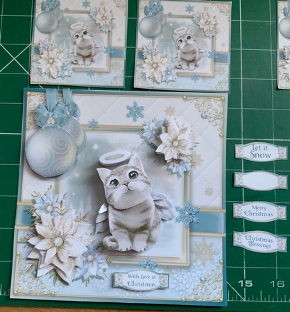 The Christmas Cat by Jennie Settle