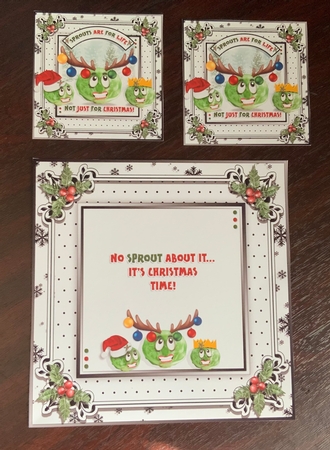 Sprouts are for Life Not Just for Christmas by Jennie Settle