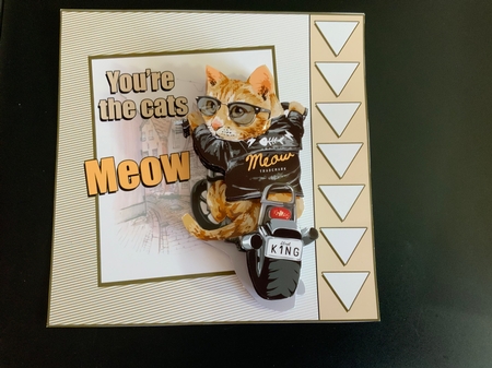 Youre the Cats Meow by Jennie Settle