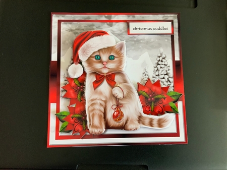 Christmas Kitten Mini kit by Jennie Settle