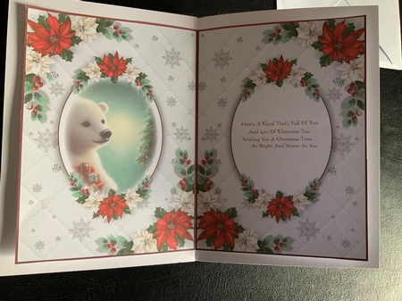 The Christmas Gift by Jennie Settle
