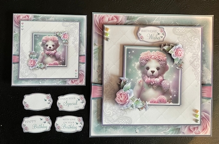 The Birthday Teddy by Jennie Settle