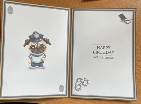 The Birthday Criminal by Jennie Settle