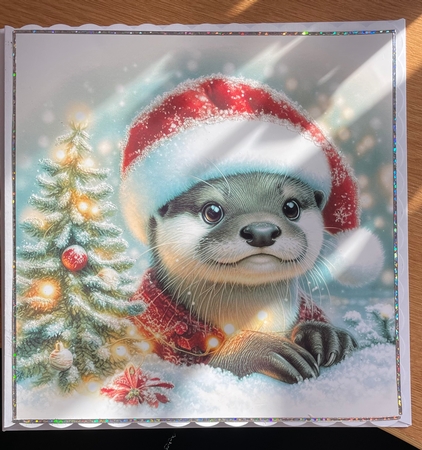 Christmas Otter by Jennie Settle