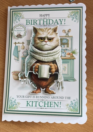 The Birthday Mouse by Jennie Settle