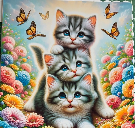 Playful Kittens by Jennie Settle