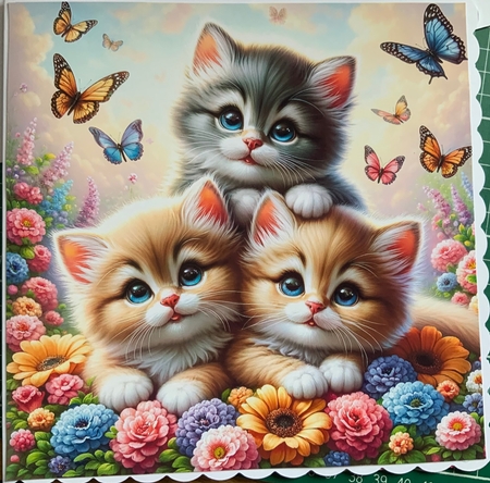 Playful Kittens by Jennie Settle