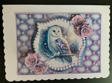 Celestial Owl  by Jennie Settle